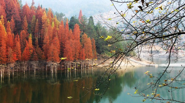 ��̹ˮ����ɫ