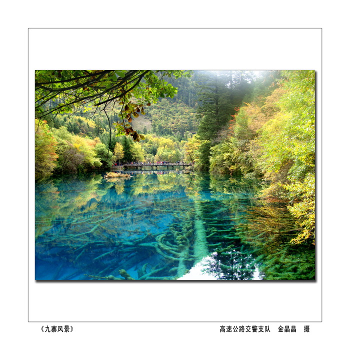 ȫ�й�����Ӱչ����կ�羰��