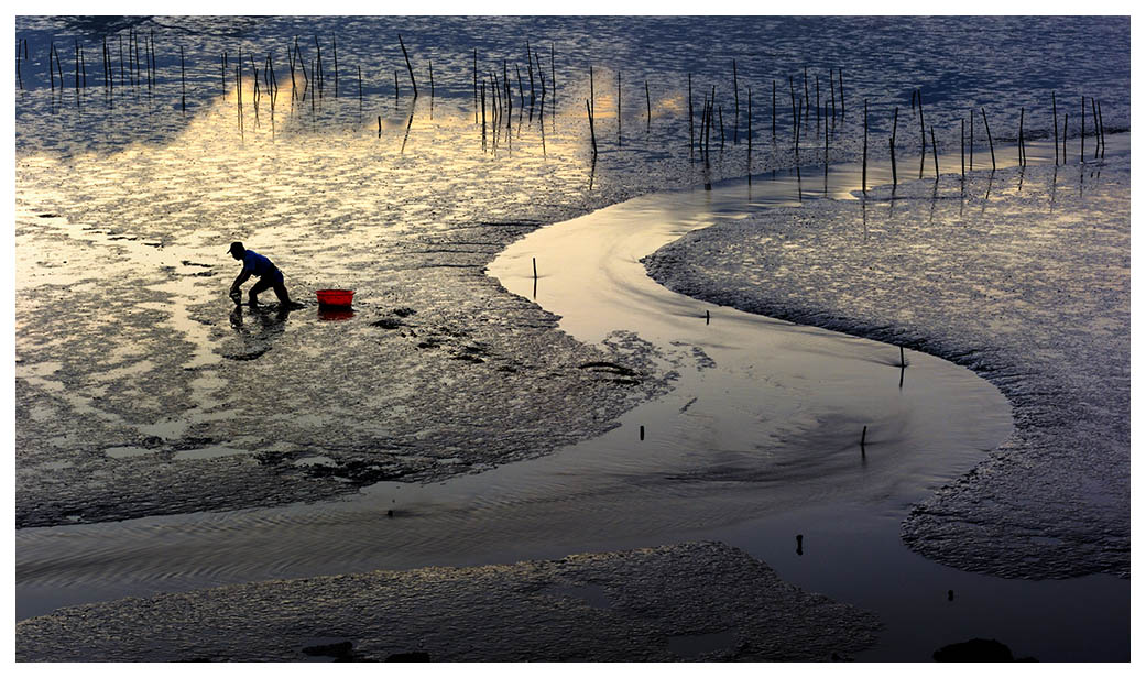 ȫ�й�����Ӱչ ��׽����