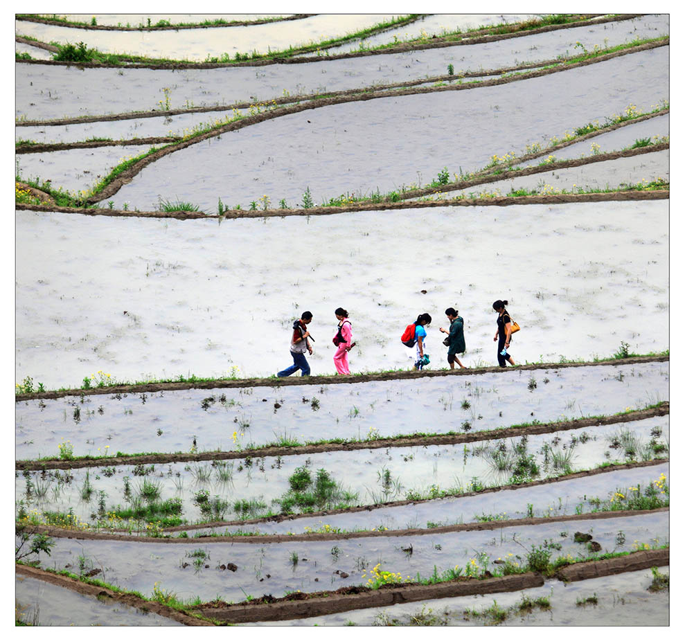 ȫ�й�����Ӱչ �������ɫ�ʡ�