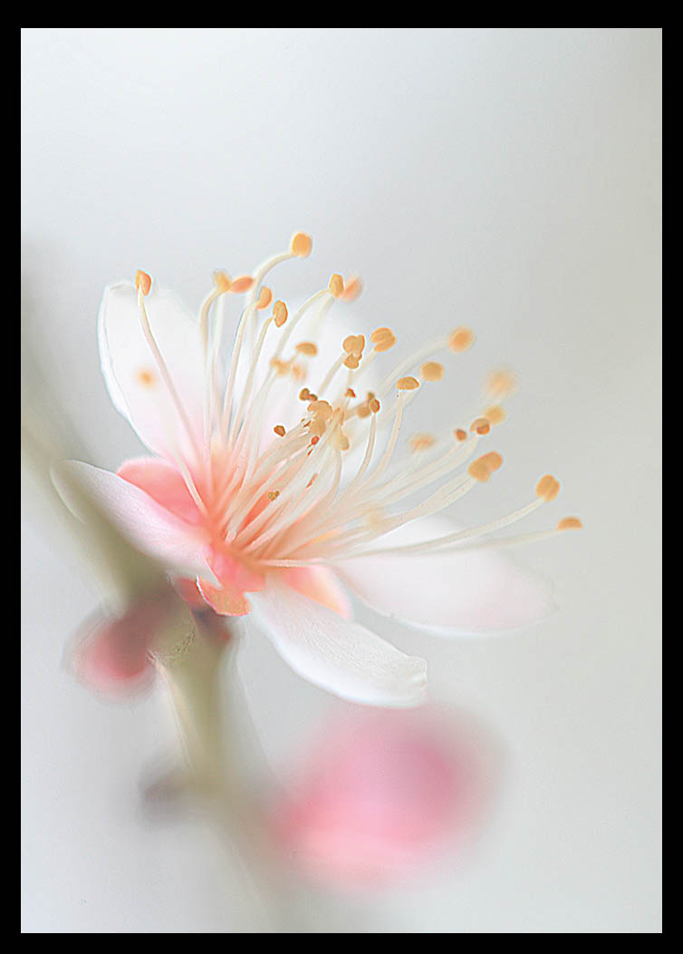 ȫ�й�����Ӱչ ���μ��ˡ�