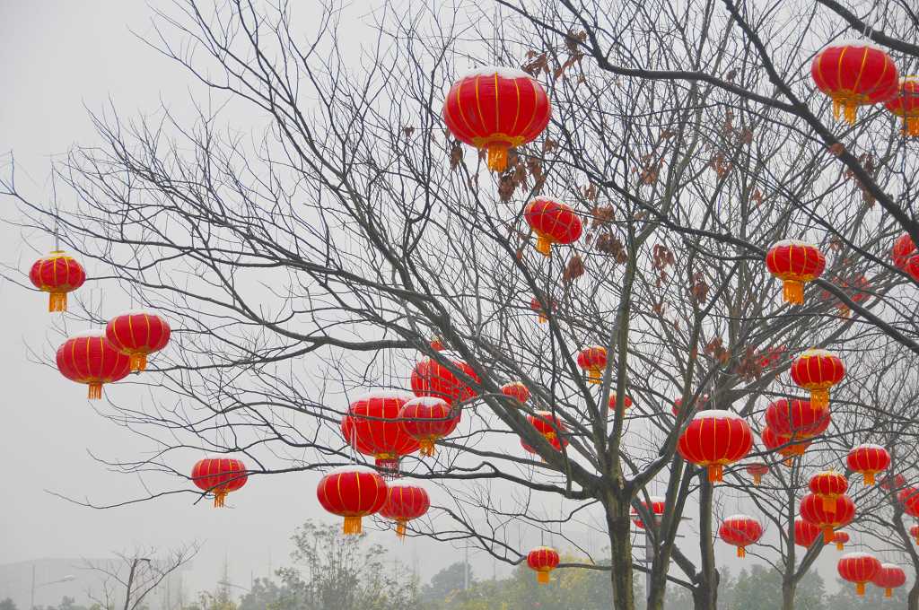 ȫ�й�����Ӱչ ��ѩӭ����