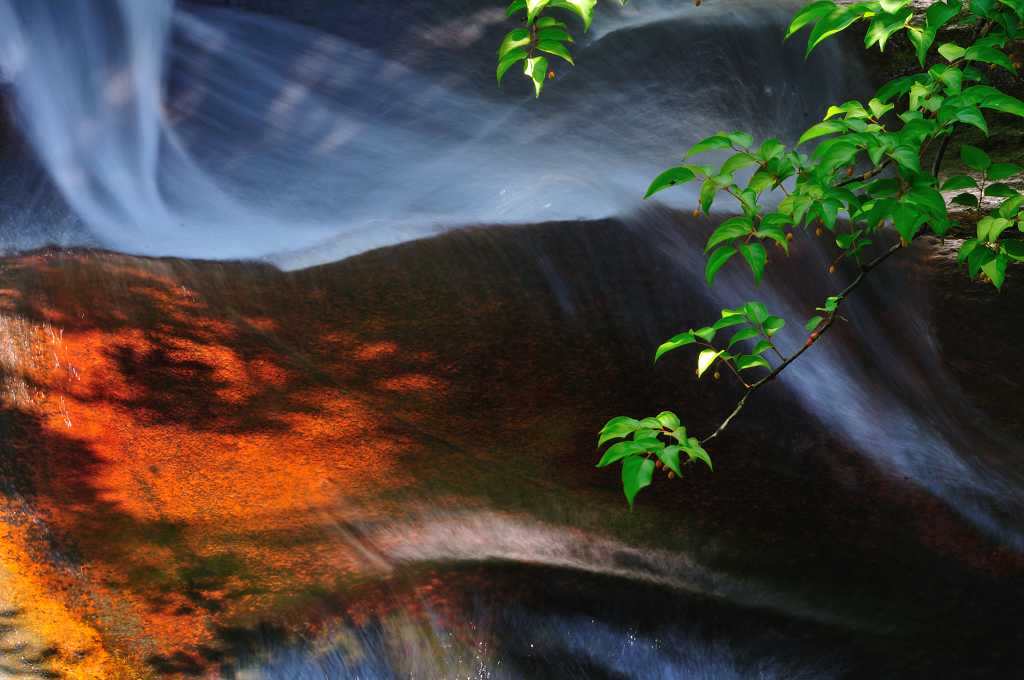 ȫ�й�����Ӱչ ��������̡�