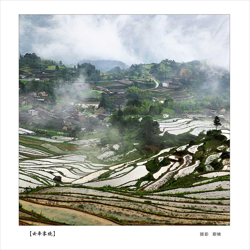 ȫ�й�����Ӱչ ����ǣ���ơ�