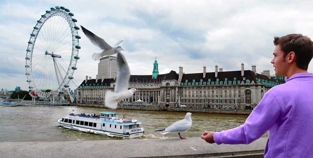 ȫ�й�����Ӱչ �����������ѡ� 