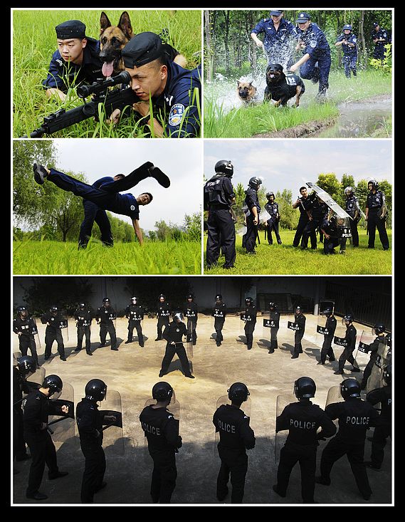 ȫ�й�����Ӱչ ����Ϊս��