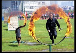 ȫ�й�����Ӱչ ���������� 