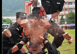 ȫ�й�����Ӱչ ����ղ��ܡ�