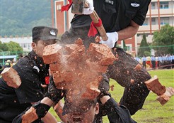 ȫ�й�����Ӱչ ����ղ��ܡ�