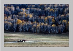 ��Ծ����Ӱ��Ʒ