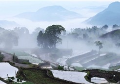 ֣������Ӱ��Ʒ�����е���һƬ�羰