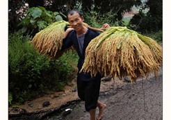 ������Ӱ��Ʒ 